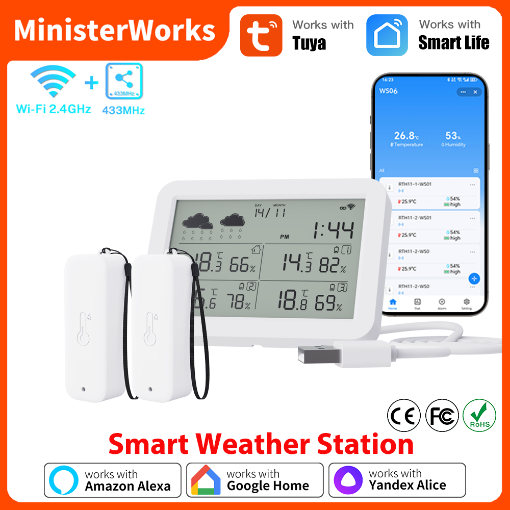 Outdoor Power Meter - Метеостанция Tuya WiFi RF433 Беспроводной датчик